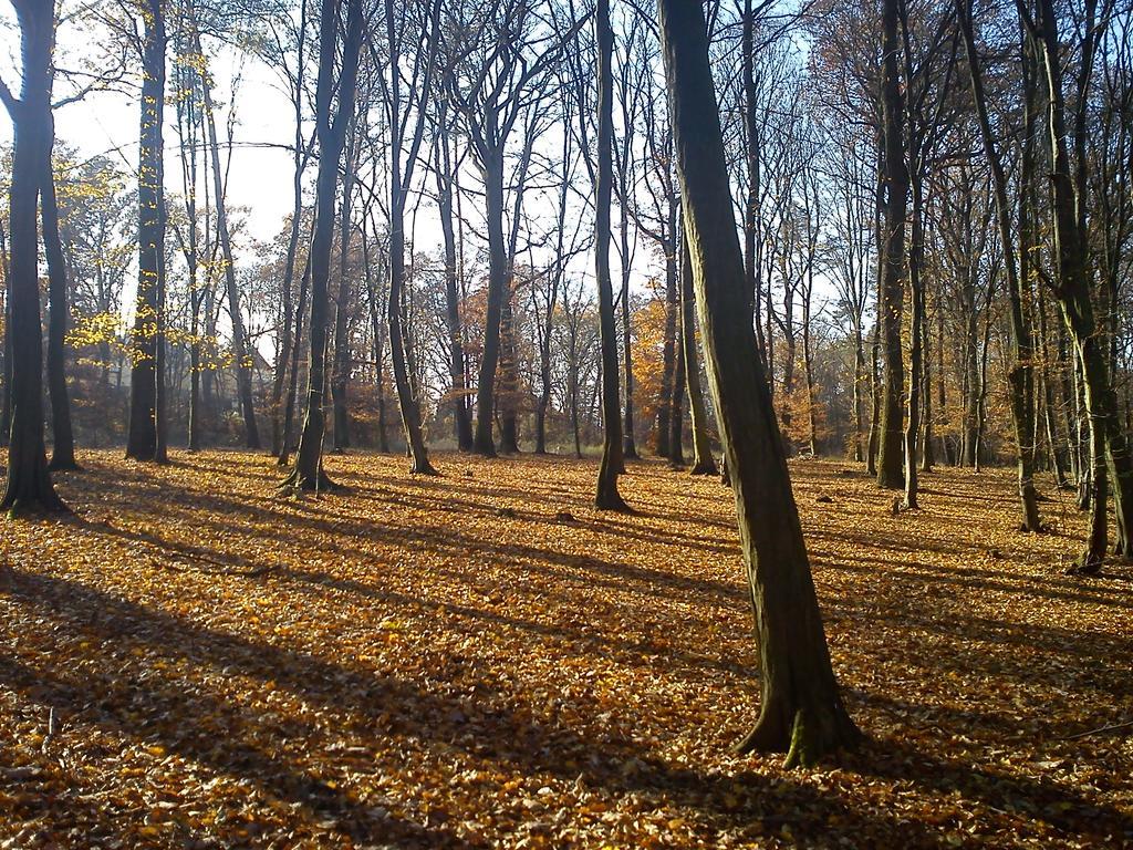 Chodov Apartament *